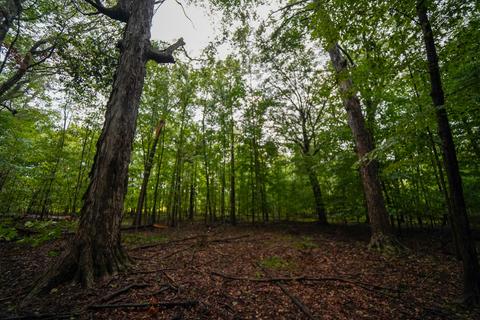 5017 Chickering Rd, Belding, MI 48809 photo 46