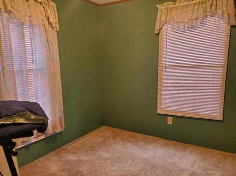 1923 Bybee Ct, Bitely, MI 49309 photo 38