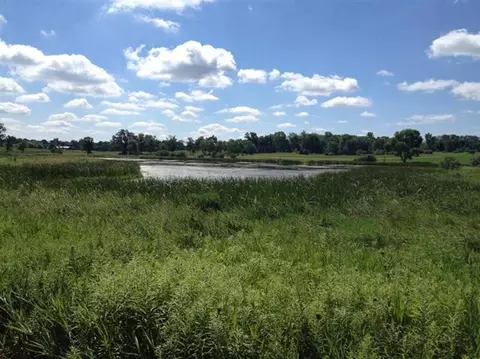 5729 Gregory Rd, Dexter, MI 48130 photo 1