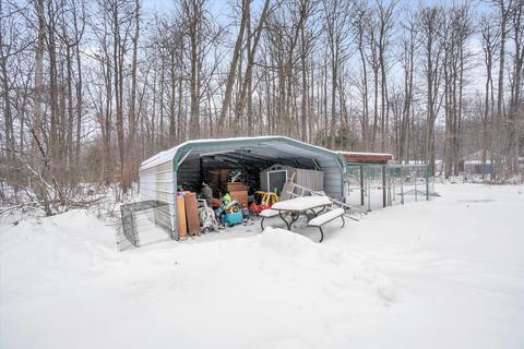 11338 N Backus Rd, Lakeview, MI 48850 photo 25