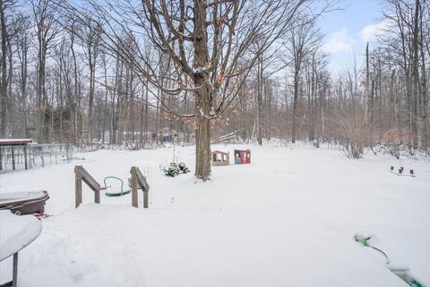 11338 N Backus Rd, Lakeview, MI 48850 photo 20