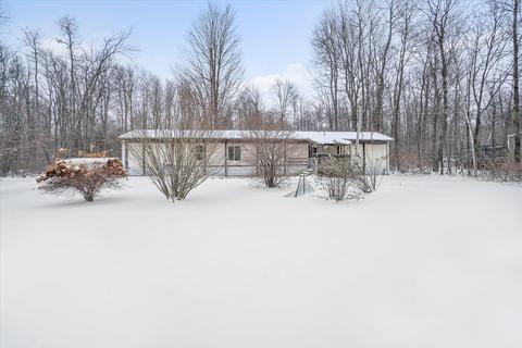 11338 N Backus Rd, Lakeview, MI 48850 photo 1