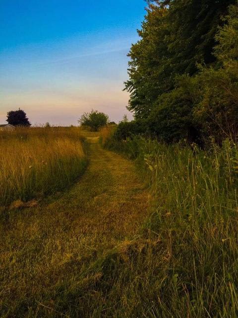 2894 E Baseline Rd, Mount Pleasant, MI 48858 photo 36