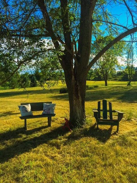 2894 E Baseline Rd, Mount Pleasant, MI 48858 photo 35