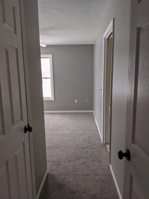 2894 E Baseline Rd, Mount Pleasant, MI 48858 photo 8