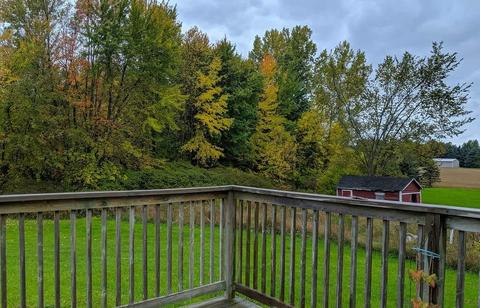 2894 E Baseline Rd, Mount Pleasant, MI 48858 photo 28