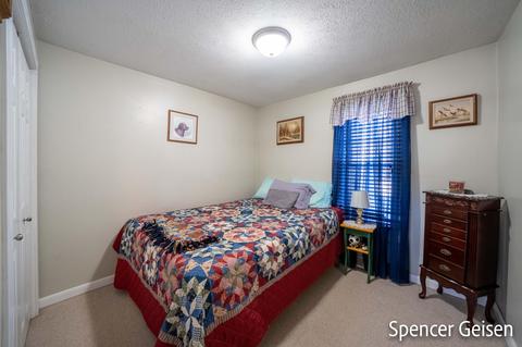 817 Fair St, Belding, MI 48809 photo 21