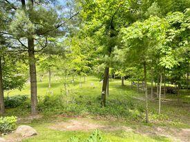 11630 S Mason Dr, Grant, MI 49327 photo 6