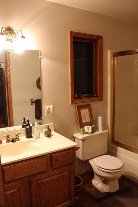 6339 Centennial Rd, Tecumseh, MI 49286 photo 44
