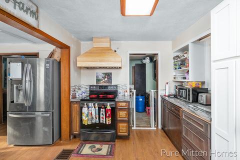 14131 Strotheide St NE, Belding, MI 48809 photo 8