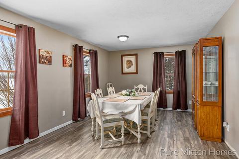 14131 Strotheide St NE, Belding, MI 48809 photo 12