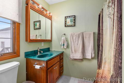 14131 Strotheide St NE, Belding, MI 48809 photo 18