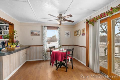 14131 Strotheide St NE, Belding, MI 48809 photo 11