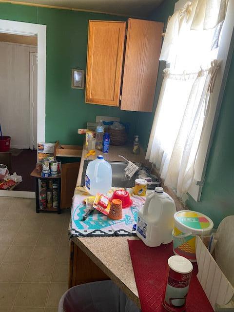 1030 Cedar St, Baldwin, MI 49304 photo 9