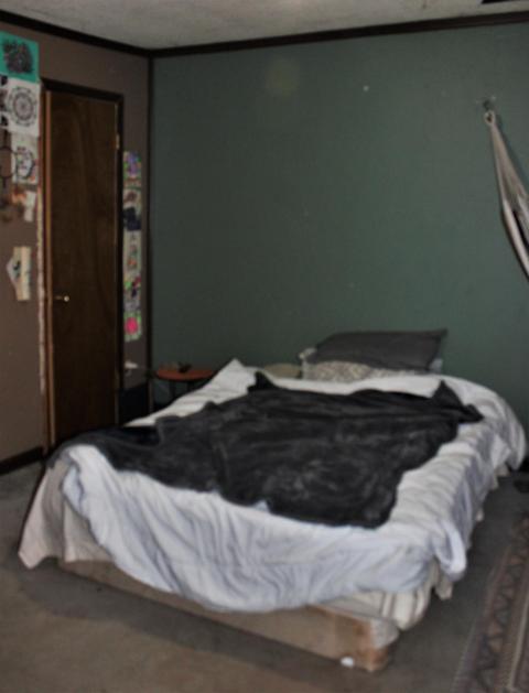 4426 Division St, Mcbride, MI 48852 photo 8