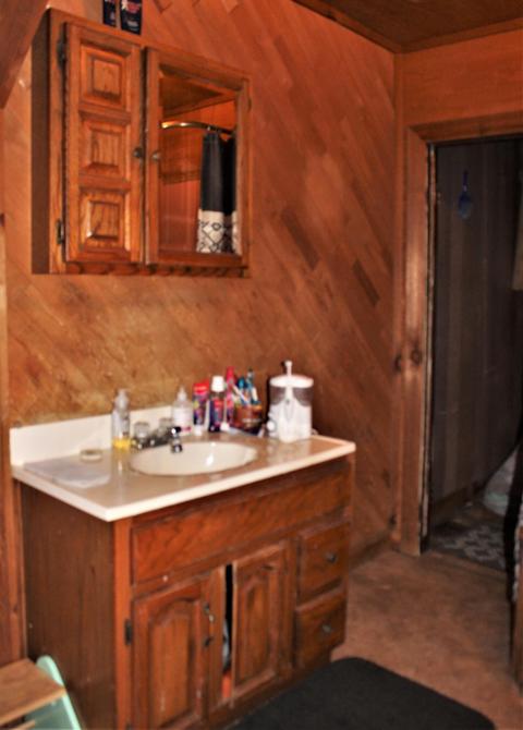 4426 Division St, Mcbride, MI 48852 photo 11