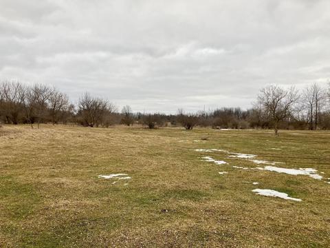 3700 Cutler Rd, Edmore, MI 48829 photo 6