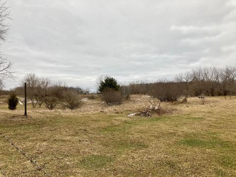 3700 Cutler Rd, Edmore, MI 48829 photo 4
