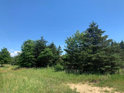Dodd Road, Niles, MI 49120 photo 2