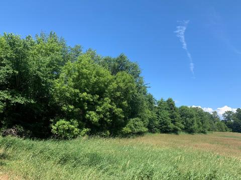Dodd Road, Niles, MI 49120 photo 5