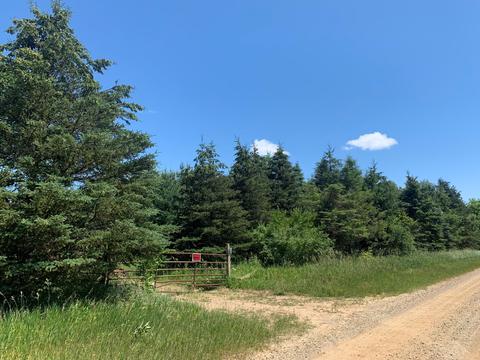 Dodd Road, Niles, MI 49120