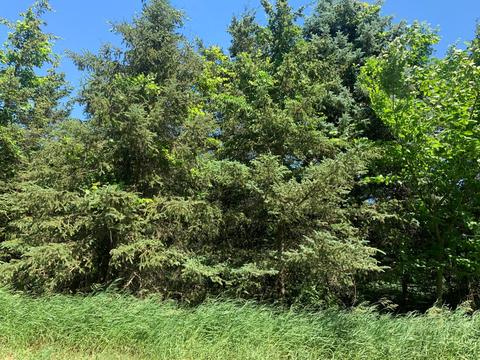 Dodd Road, Niles, MI 49120 photo 4