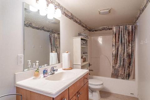 7513 Wadding Dr, Onsted, MI 49265 photo 38