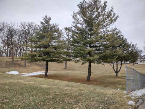 115 Edgewood St, Jackson, MI 49201 photo 45