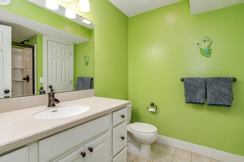 237 N Grayfield Ct SE, Ada, MI 49301 photo 63