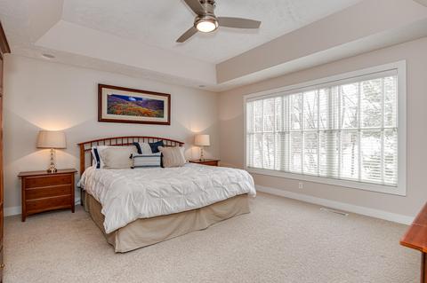237 N Grayfield Ct SE, Ada, MI 49301 photo 34