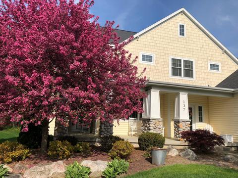 237 N Grayfield Ct SE, Ada, MI 49301 photo 3