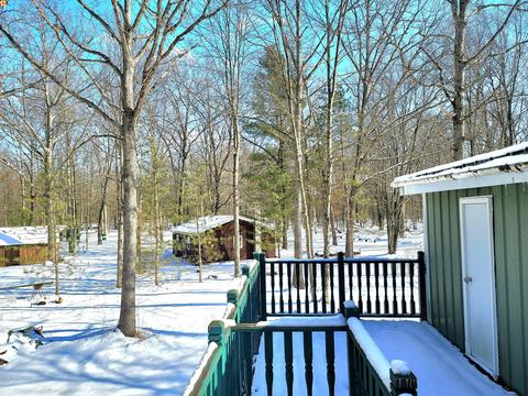 2333 Cass Ln, Bitely, MI 49309 photo 10