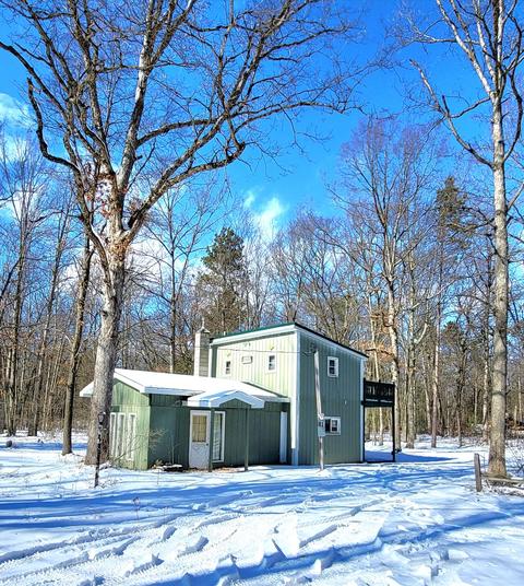 2333 Cass Ln, Bitely, MI 49309 photo 1