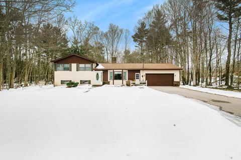 10663 68th Ave, Allendale, MI 49401 photo 1