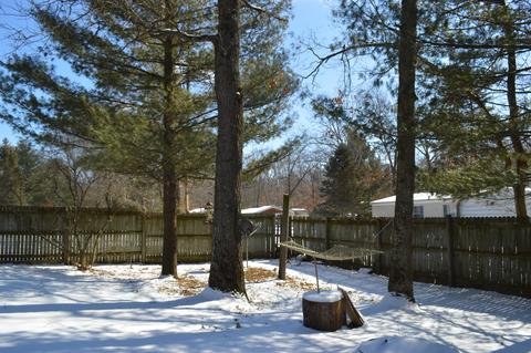 2170 E 95th St, Newaygo, MI 49337 photo 4