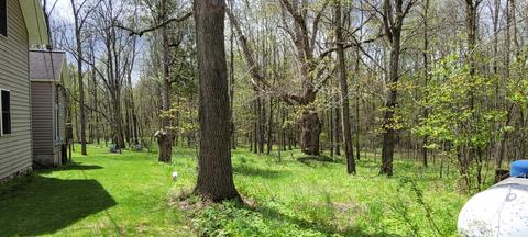 3937 E Hazel Rd, Hart, MI 49420 photo 33