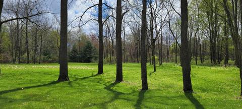 3937 E Hazel Rd, Hart, MI 49420 photo 35