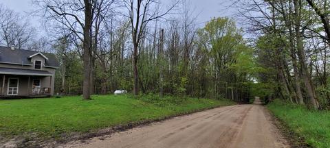 3937 E Hazel Rd, Hart, MI 49420 photo 11
