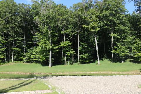 11414 Shavehead Lake St, Constantine, MI 49042 photo 22