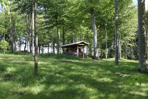 11414 Shavehead Lake St, Constantine, MI 49042 photo 18