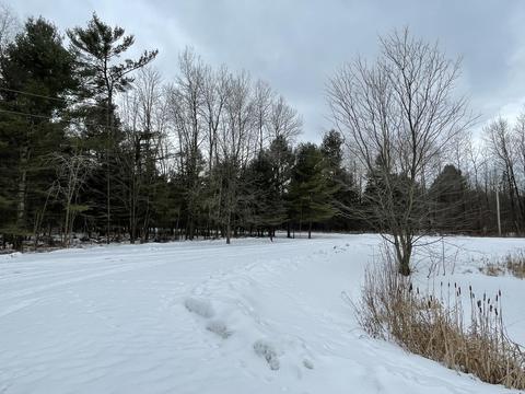9150 Miles Rd, Sears, MI 49679 photo 26