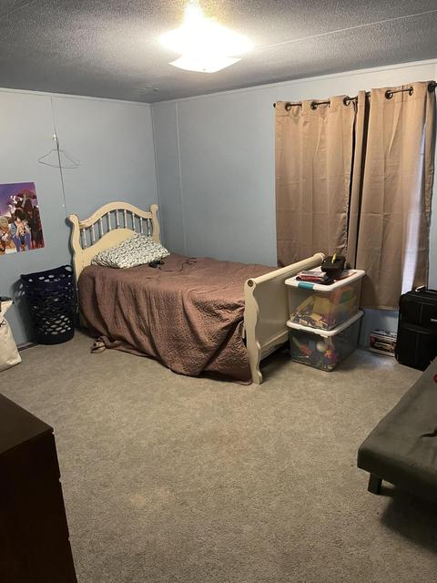 9150 Miles Rd, Sears, MI 49679 photo 18