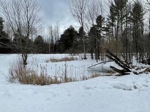 9150 Miles Rd, Sears, MI 49679 photo 25