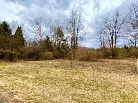 Unit 4 Indian Creek Drive, Jackson, MI 49201