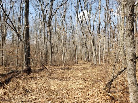 V/l M40, Lawton, MI 49065