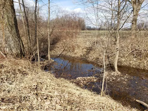 V/l 48th Street, Bangor, MI 49013