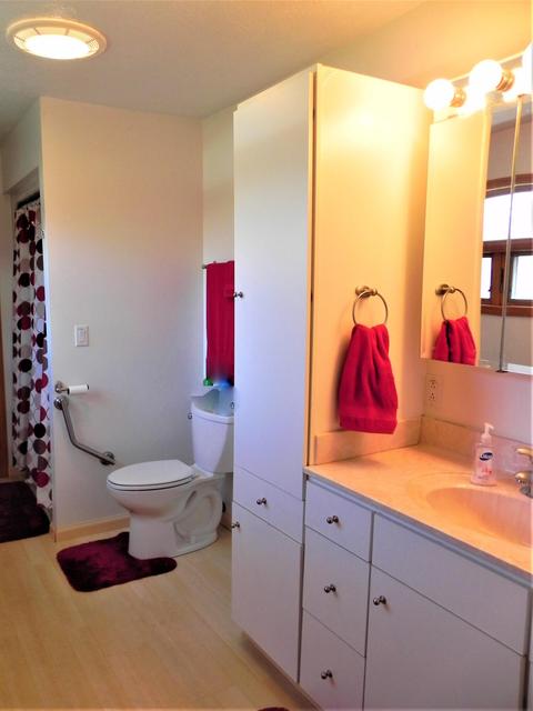 566 Abbott St, Colon, MI 49040 photo 11