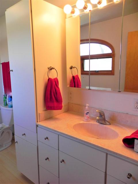 566 Abbott St, Colon, MI 49040 photo 12