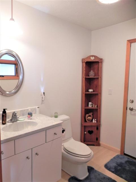566 Abbott St, Colon, MI 49040 photo 15