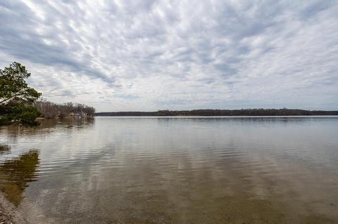364 Ready Ln, Munith, MI 49259 photo 3